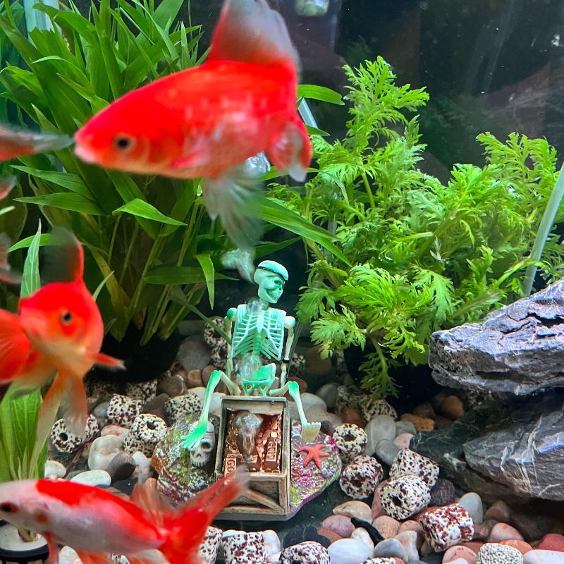 Aquarium Fish Cartoon - Fish Tank Aerobic Landscape Bubble Air