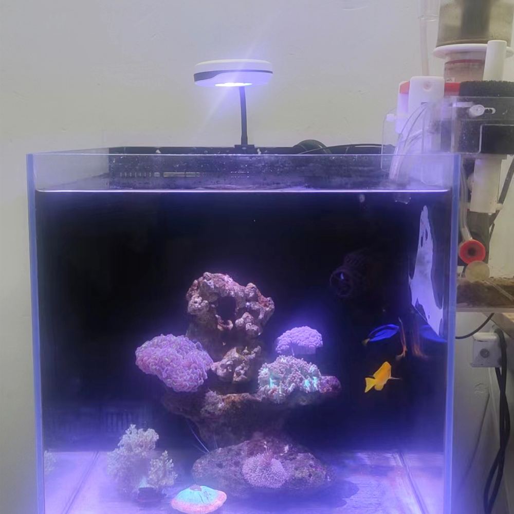Spectra 20W Nano Clip ON Refug - Refugium Light Nano 评论和价格