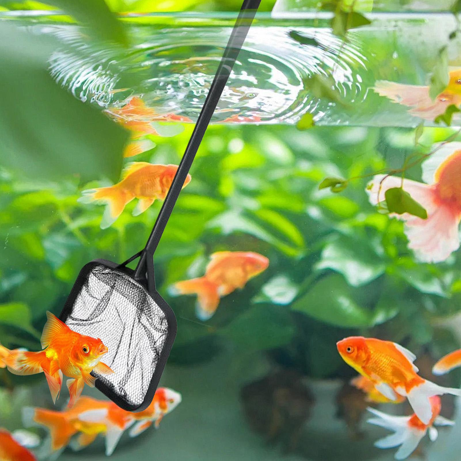 Pool Nets for Cleaning Portabl - Aquarium Fish Tank Cleaner 评论和价格