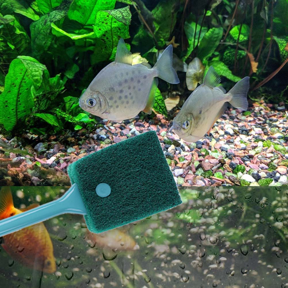 Double-sided Fish Tank Sponge  - Aquarium Fish Tank Cleaner 评论和价格