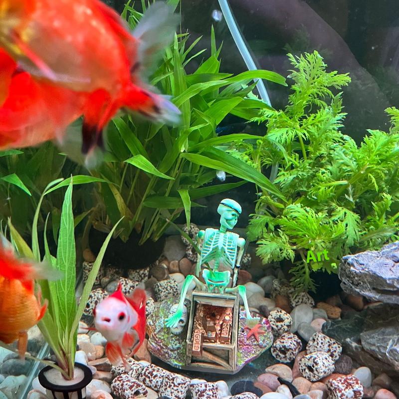 Fish Tank Aerobic Landscape Bu - Aquarium Fish Cartoon 评论和价格