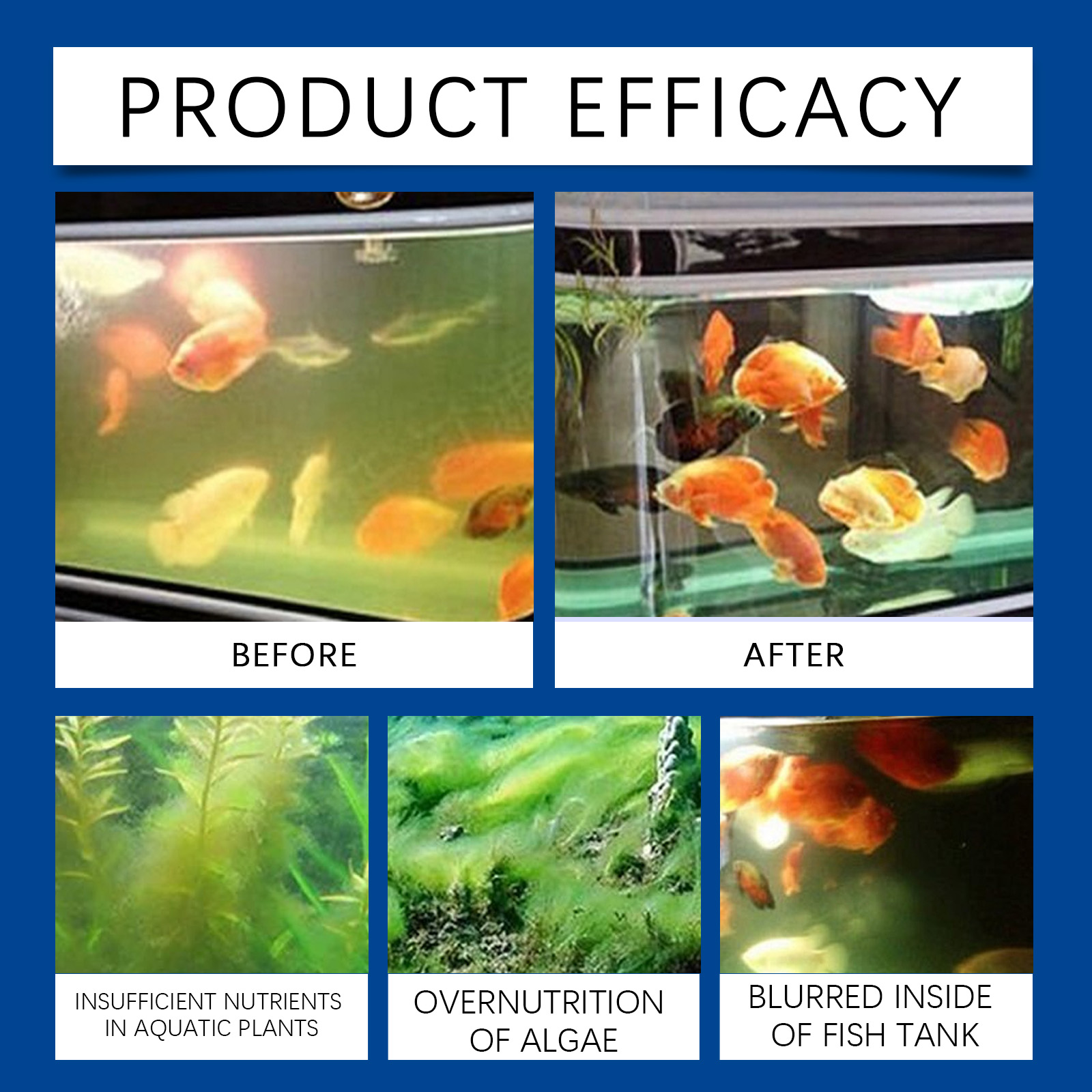 Aquarium Water Clarifier 100ml - Aquarium Fish Tank Cleaner 评论和价格