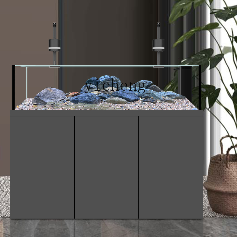 U1  native wild stream tank Sa - Wild Aquarium Fish 评论和价格