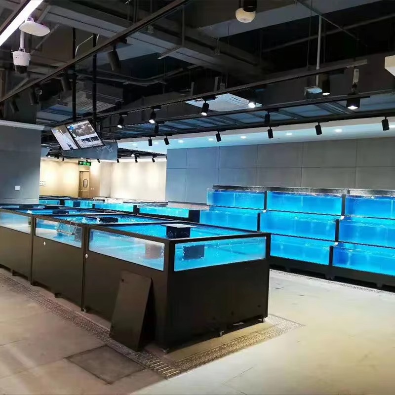Square Glass Freshwater Fish T - Aquarium Xl 评论和价格