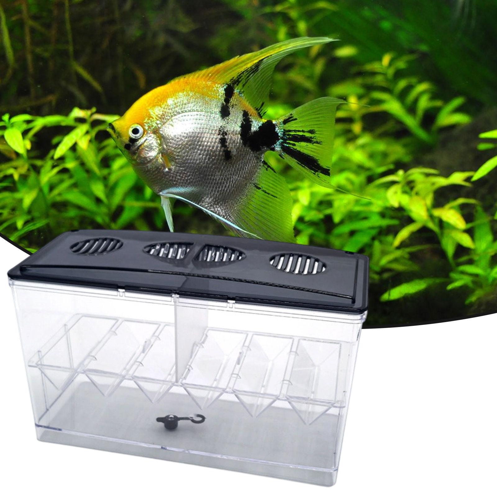 Floating Fish Breeding Isolati - Aquarium Fish Tank Cleaner 评论和价格