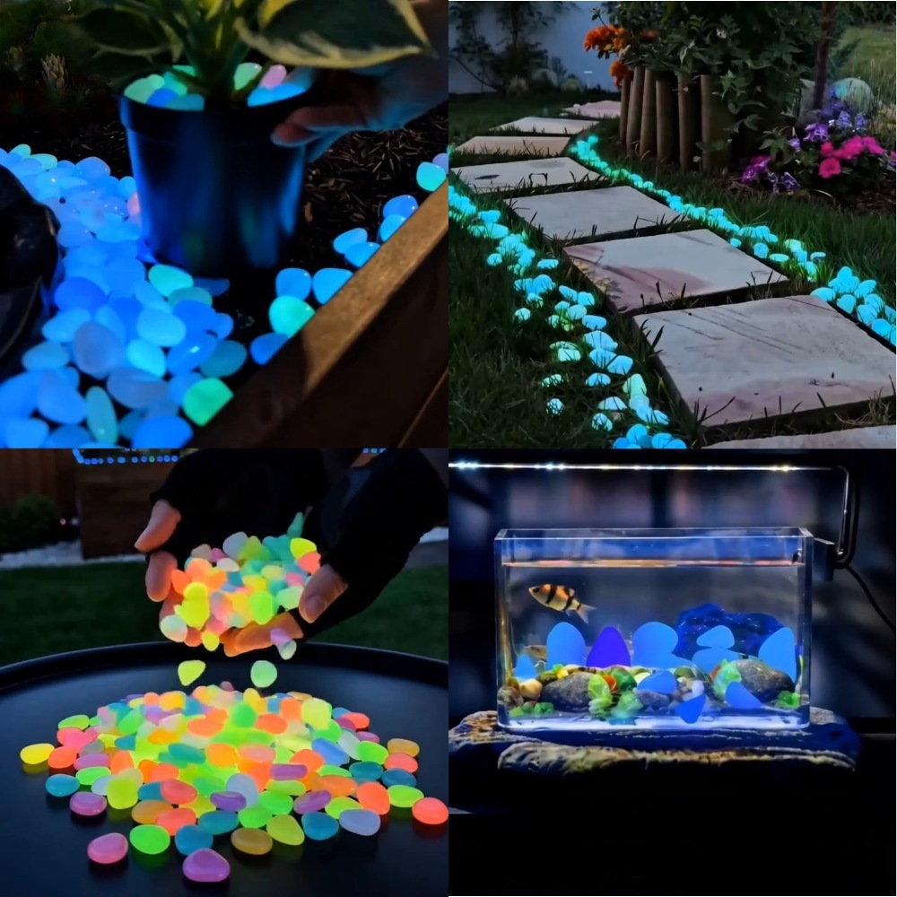 Colorful Glow In The Dark Lumi - Aquarium Fish Cartoon 评论和价格