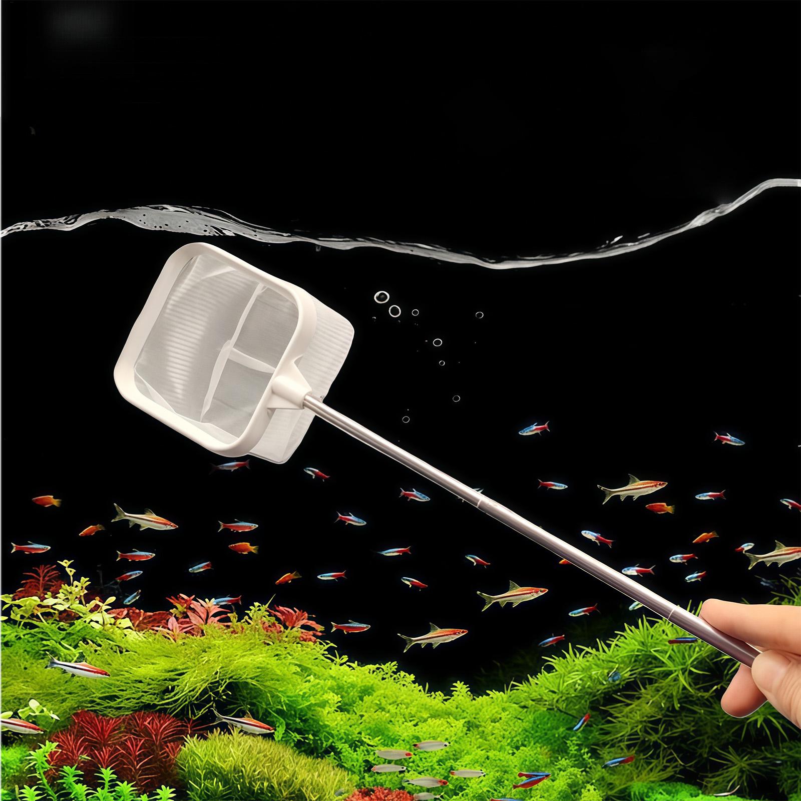 Extendable Long Handle Fine Me - Aquarium Fish Long 评论和价格