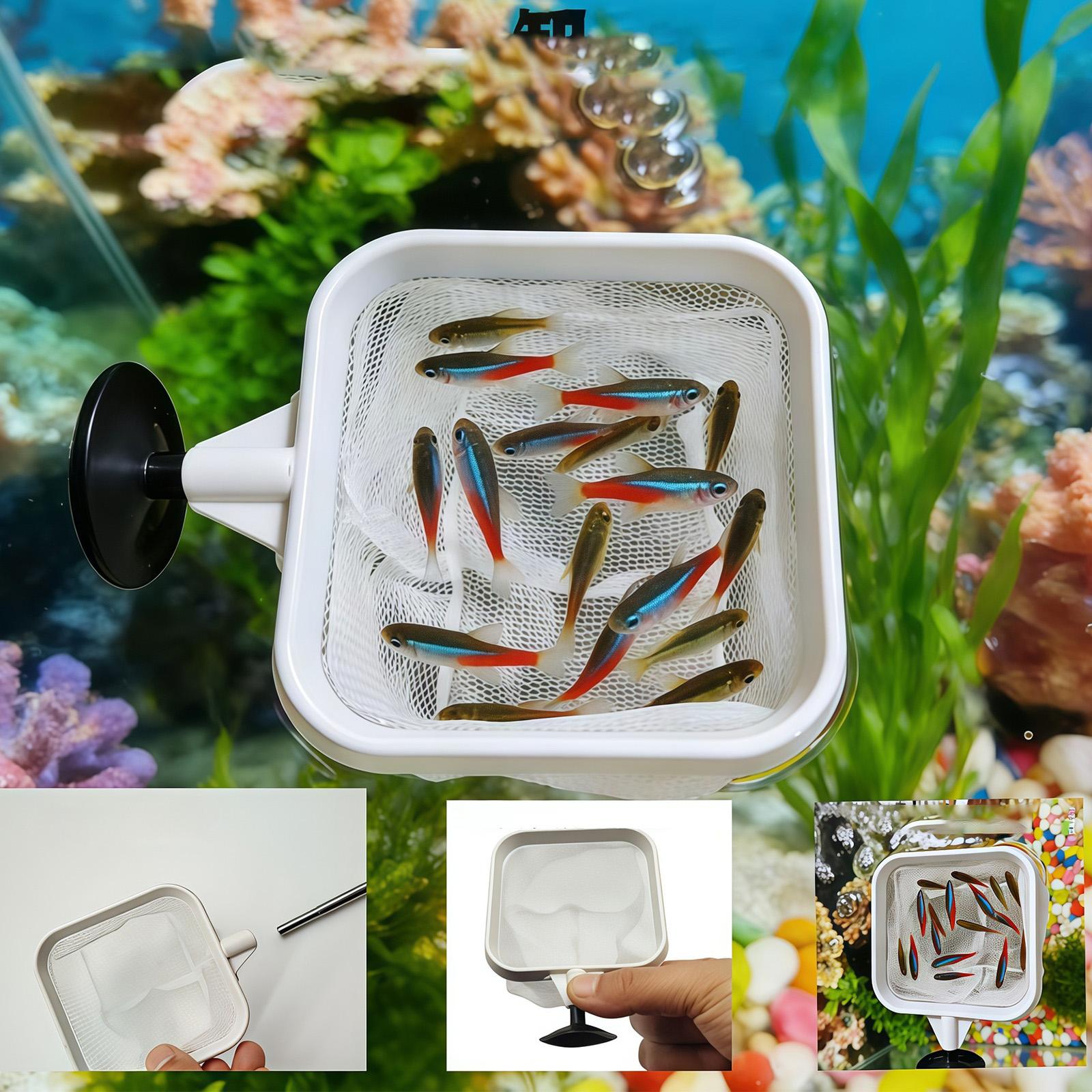 Extendable Long Handle Fine Me - Aquarium Fish Long 评论和价格