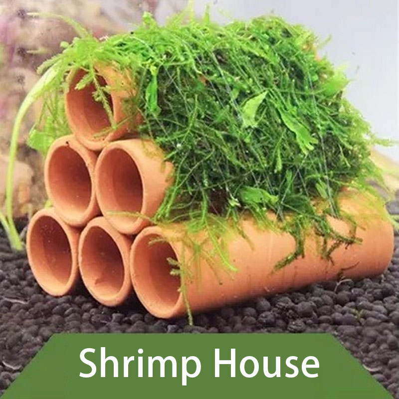 Clay Aquarium Decoration Fish  - Aquarium Fish Cartoon 评论和价格