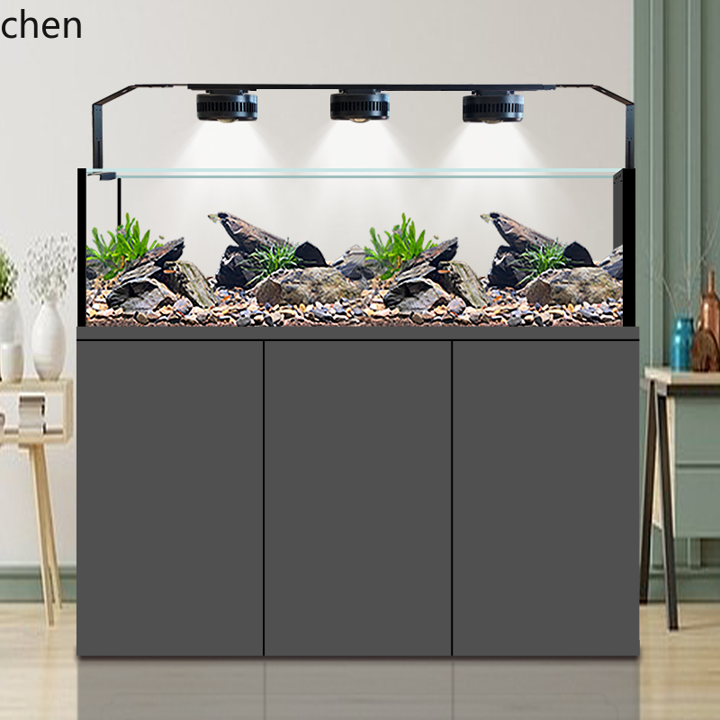 CZ Fish Tank Native Wild Colle - Wild Aquarium Fish 评论和价格