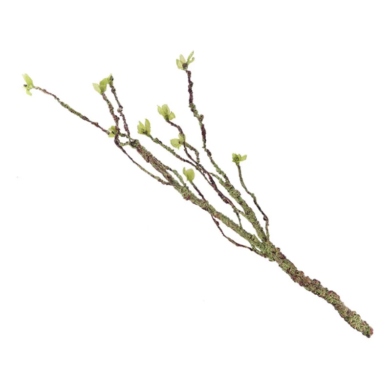 Vines Decor Climbing Branches  - Aquarium Fish Cartoon 评论和价格